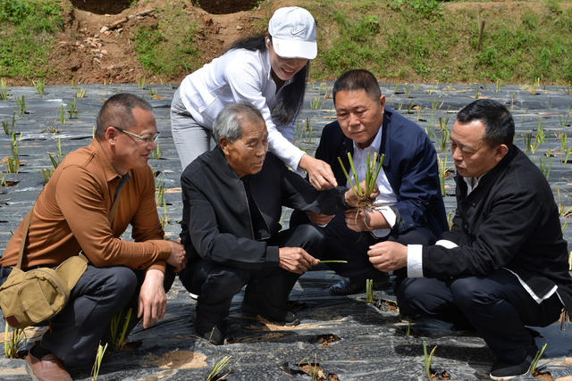 传统中医药 薪火代代传