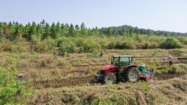 湖南新田：大豆春播忙