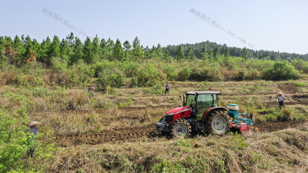 湖南新田：大豆春播忙