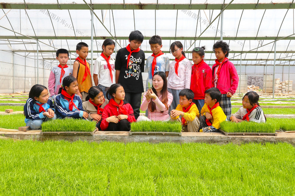 研学  助农  劳动  育苗