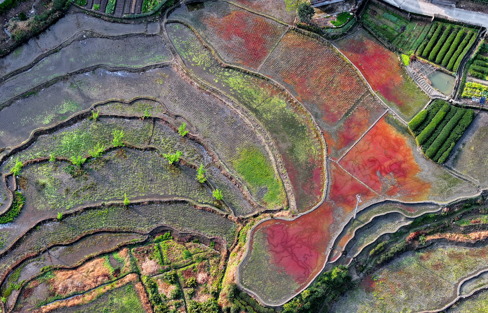 湖南桂东 耕地 彩  染盘