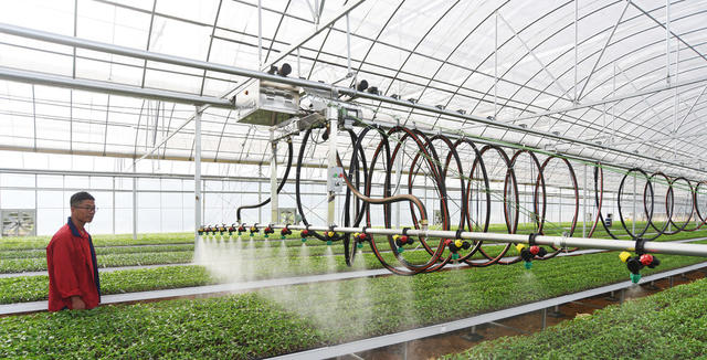 嘉禾：智能育苗  产业增效