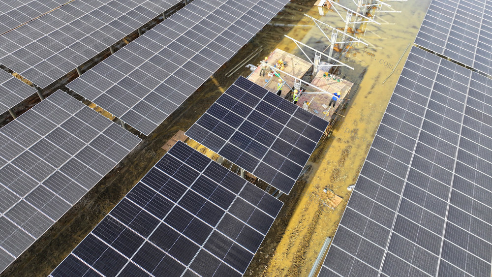 鱼塘 光伏 建设