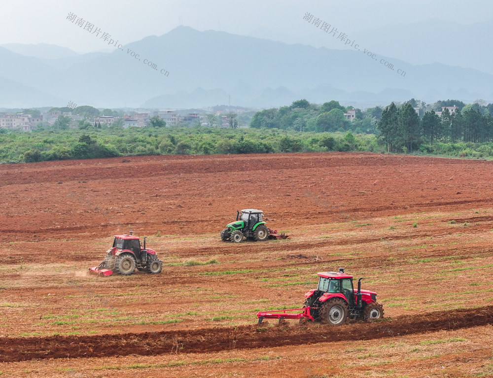 汛旱并防 耕地置换 道县