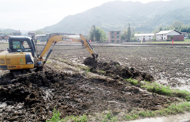 湖南桂东 高标准农田建设 区域公共品牌 桂东冷水米