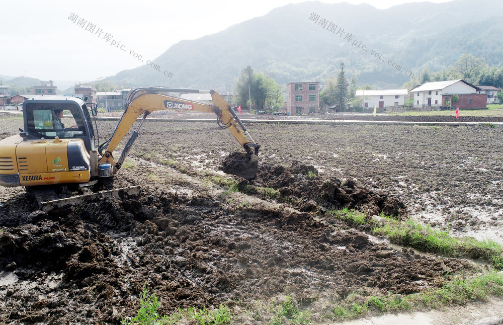 湖南桂东 高标准农田建设 区域公共品牌 桂东冷水米
