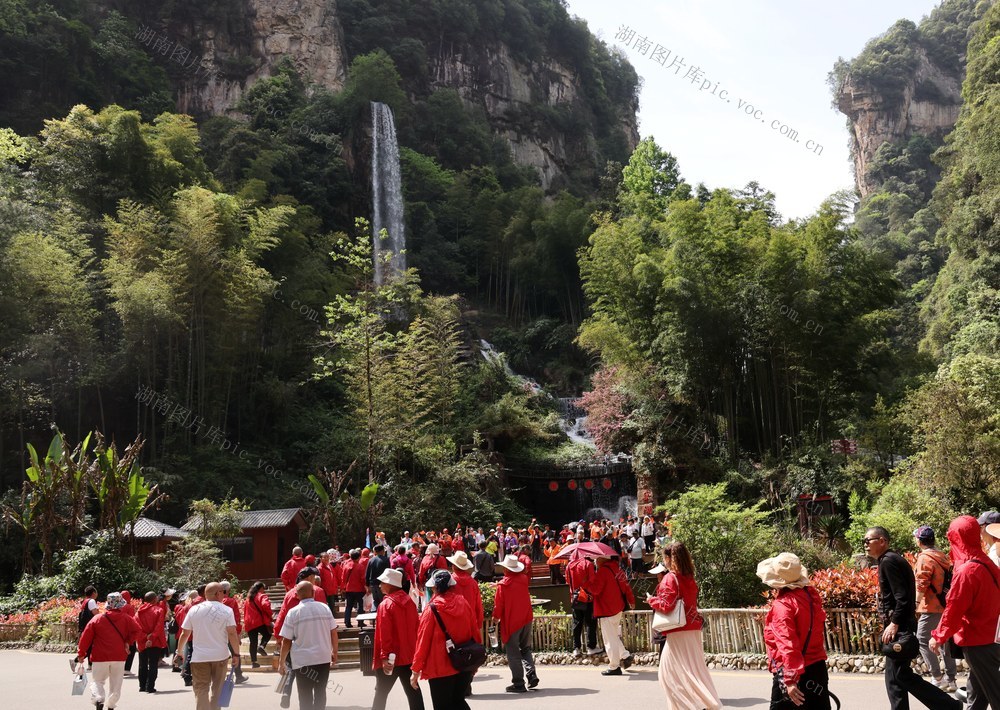 春季 旅游 张家界