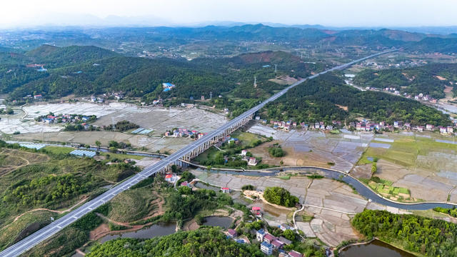 农业 春耕 早稻 粮食 田园风光