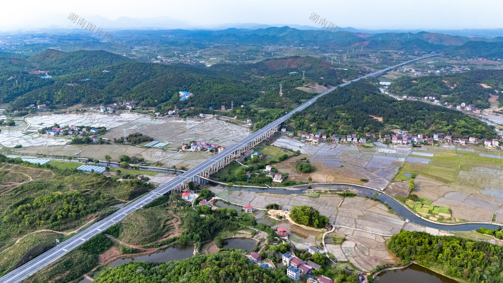 农业 春耕 早稻 粮食 田园风光