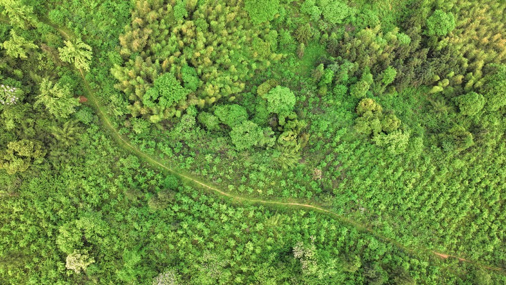 万华岩，森林，郴州，风景，天然氧吧