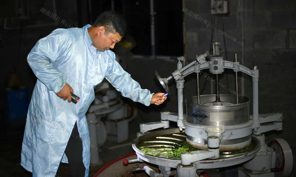 谷雨 茶 茶农 炒制 市场 增收