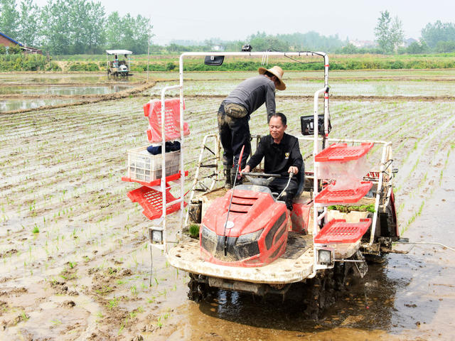 智慧农业  北斗导航  插秧机  精准服务