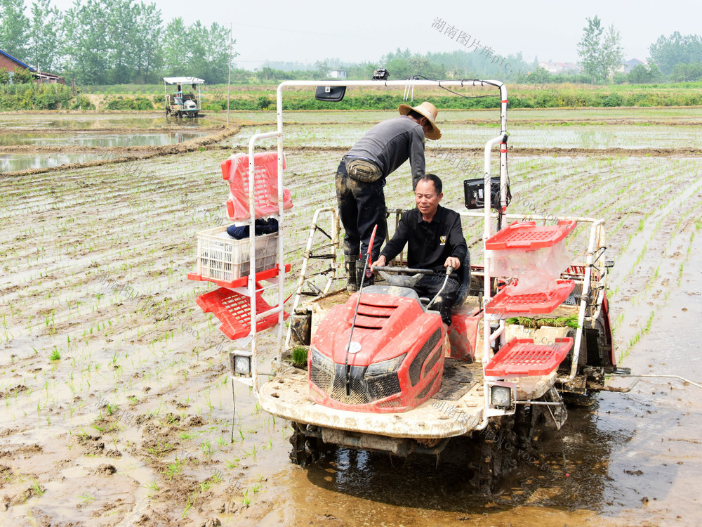 智慧农业  北斗导航  插秧机  精准服务