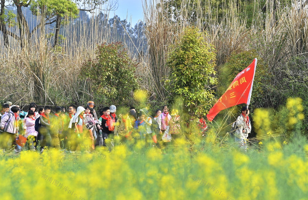 清明 烈士  徒步 红色