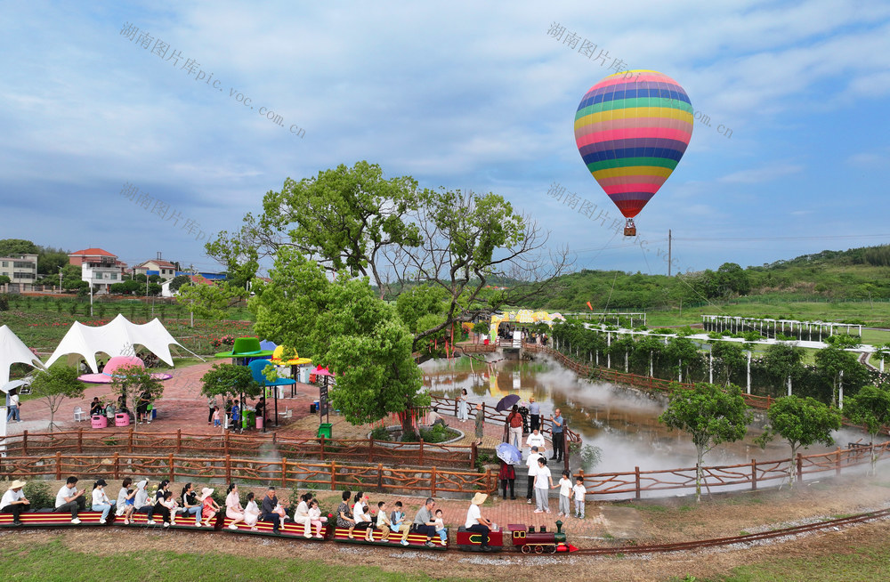 踏青 赏花 乡村文旅 