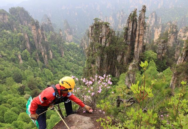 地球日 张家界 环境 垃圾 清理