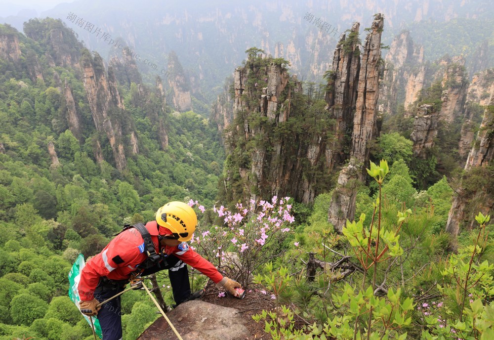 地球日 张家界 环境 垃圾 清理