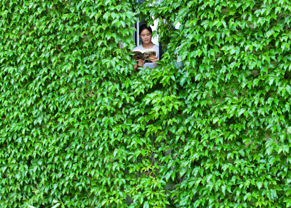 读书日 大学 校园 图书馆 阅读