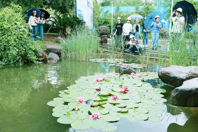 迎接世界地球日