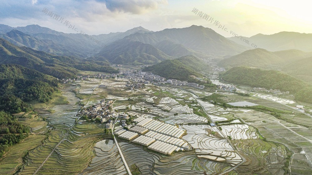 春耕 农业 梯田 粮食安全 种植 耕地 抛秧 春耕生产