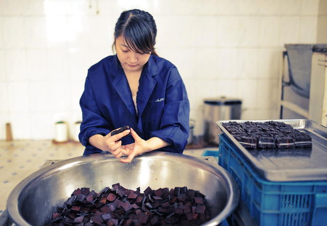 相干 豆制品  酱干 黄豆