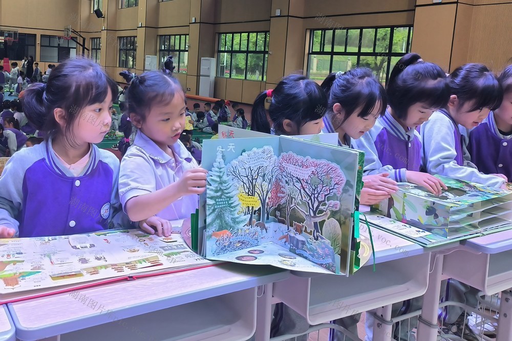 书展  阅读  学习 