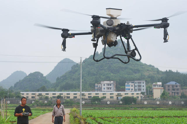 嘉禾：飞防作业助增收