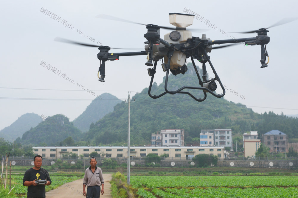 嘉禾：飞防作业助增收