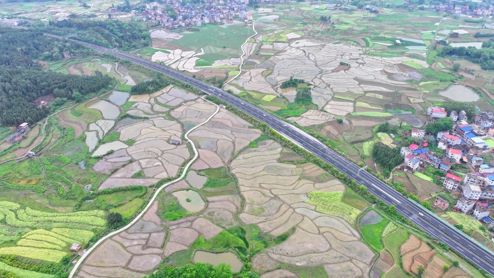 春耕 梯田 美景