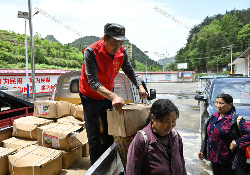 经济　春耕生产　免费种子　花生种植　
