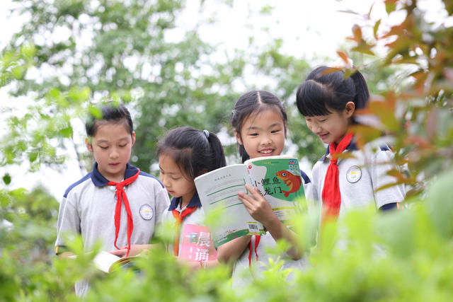 读书日 阅读 通道侗族自治县