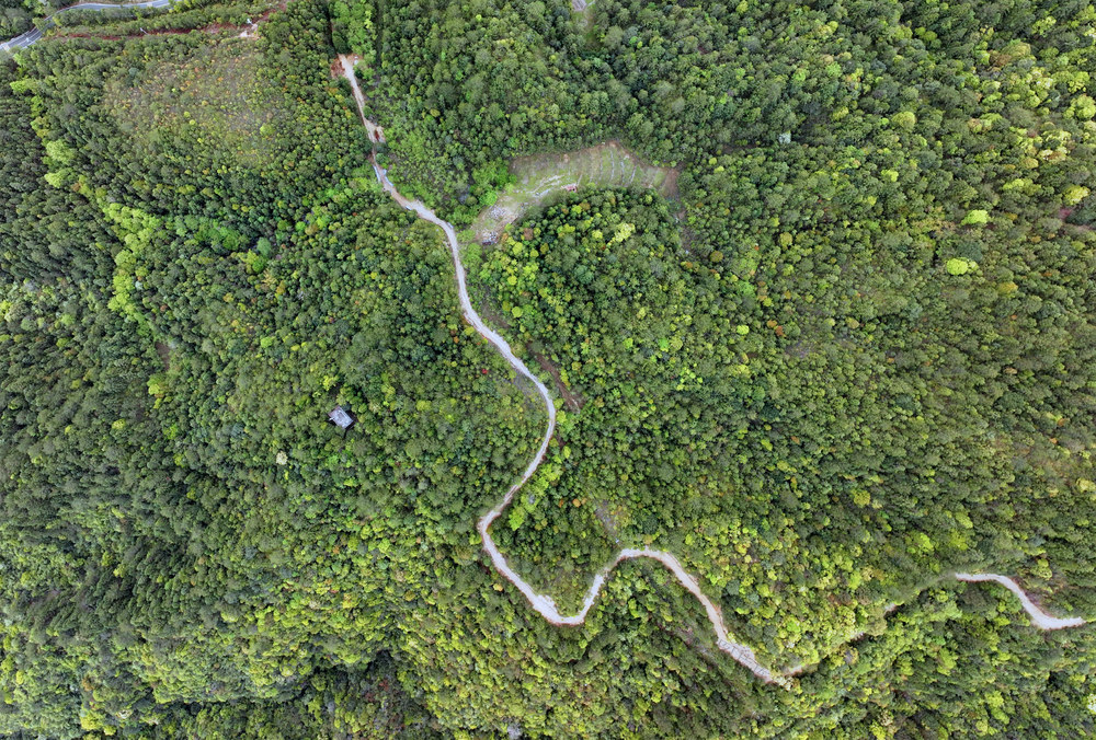 湖南桂东 丝带 绿色 齐云峰国家级森林公园