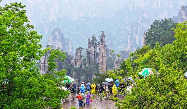 旅游  升温  世前