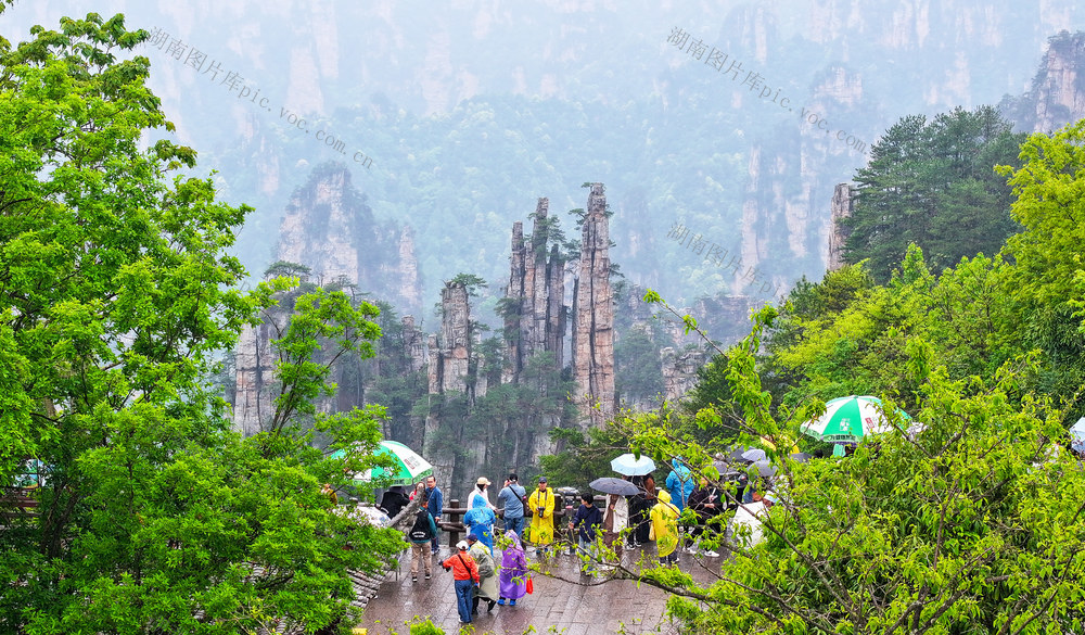 旅游  升温  世前