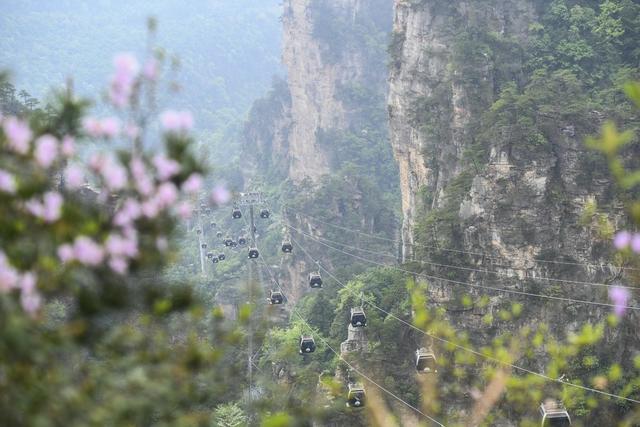张家界
旅游