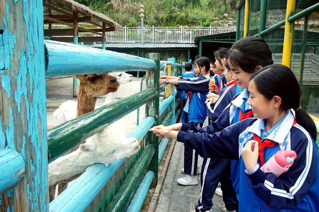 研学 学生 古迹 人文 知识