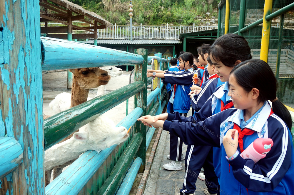 研学 学生 古迹 人文 知识