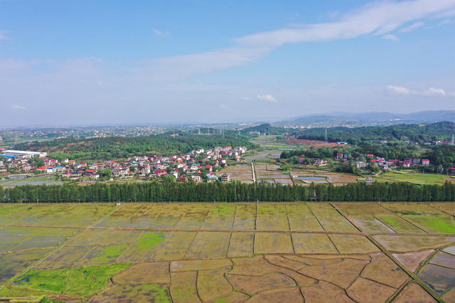 和美  乡村   风景  自然  田园