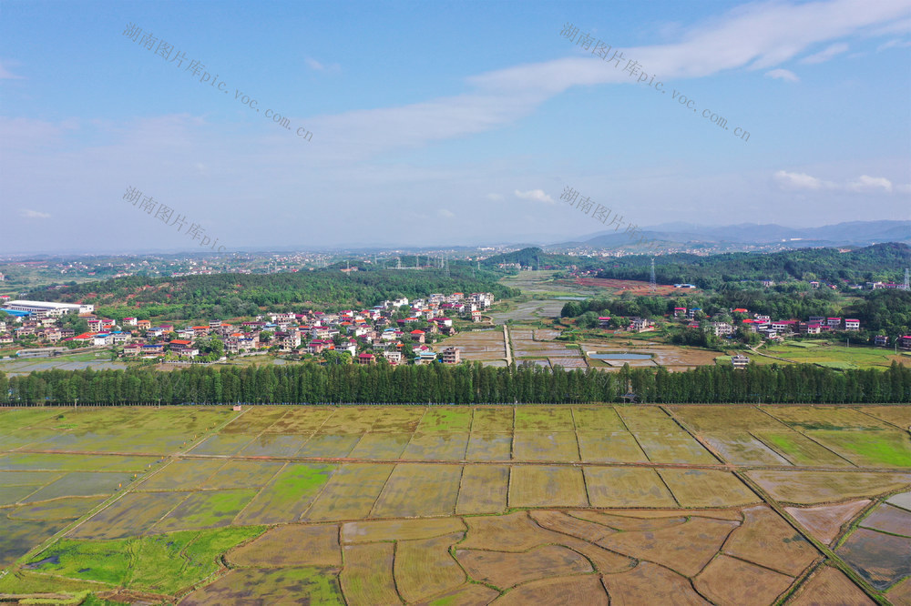 和美  乡村   风景  自然  田园