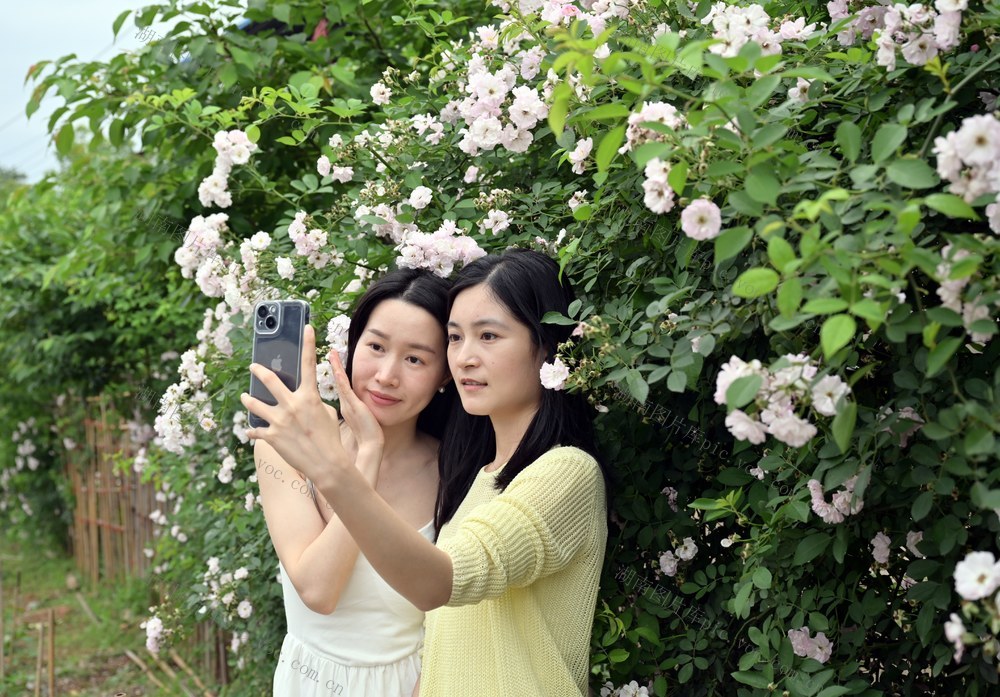 最美人间四月天