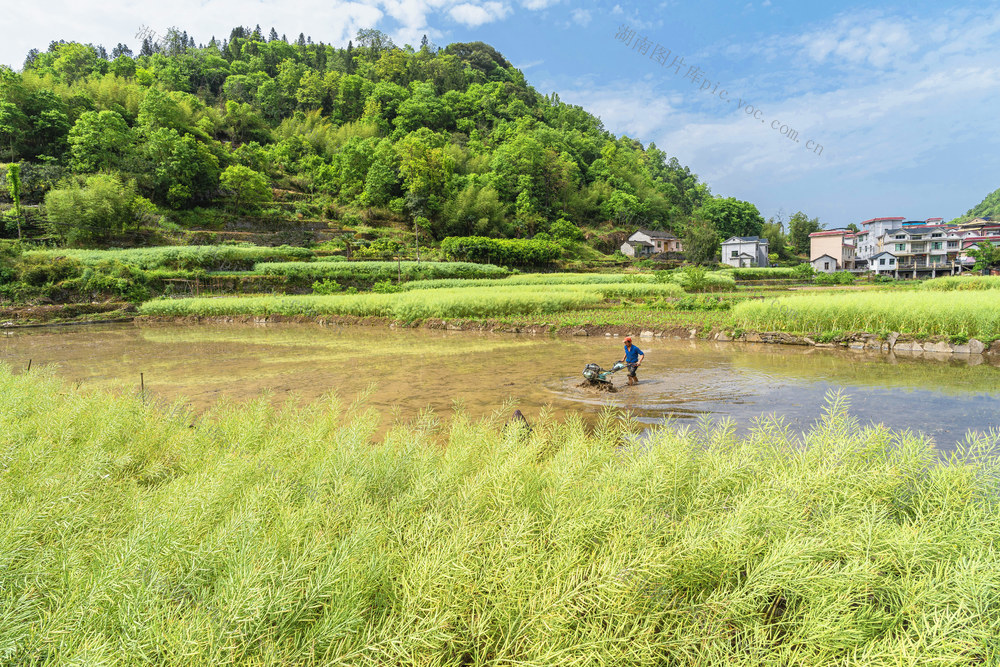 乡村如画春耕忙