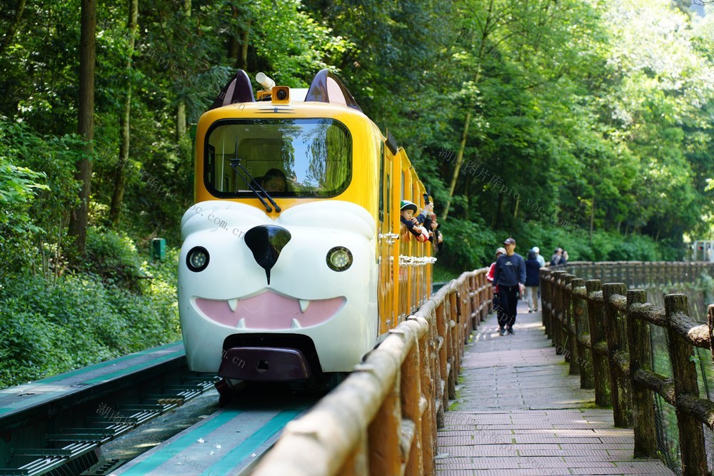 旅游、张家界、景区、游客、假期