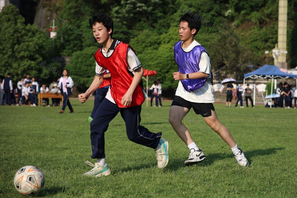 运动、比赛、足球、校园、体育