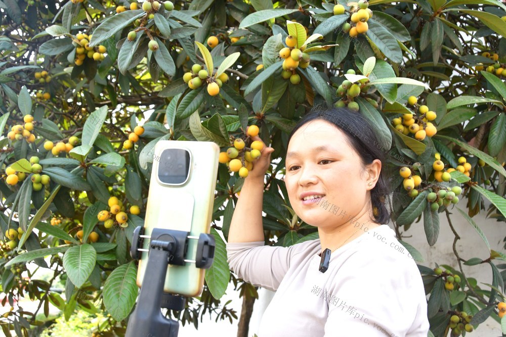 “云端”赶集  水果出山
