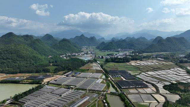 宁远县 大棚 农田  产业兴旺 特色农业