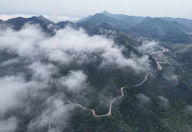 山路  弯弯  乡村  公路  交通  旅游