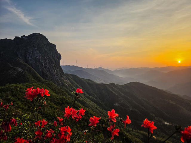 奇观 春色 景观