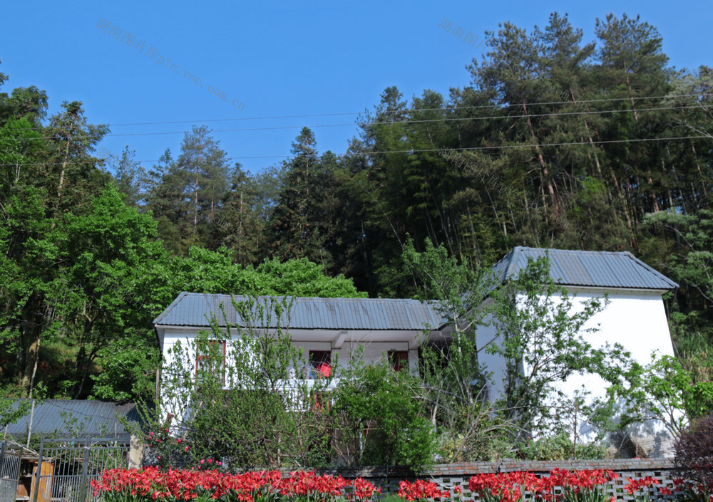 湖南桂东  新农村 生态画卷