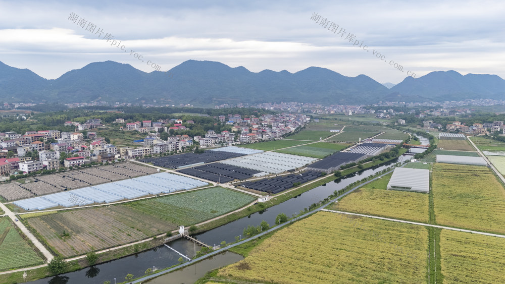 涟源 现代农业  蔬菜基地