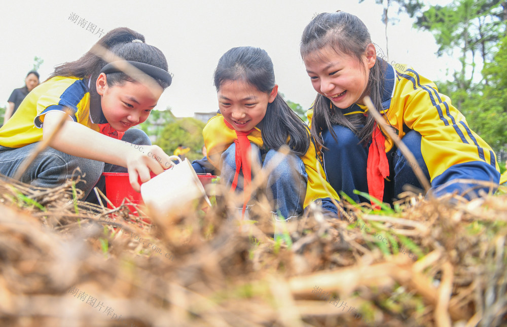 劳动教育
迎“五一”